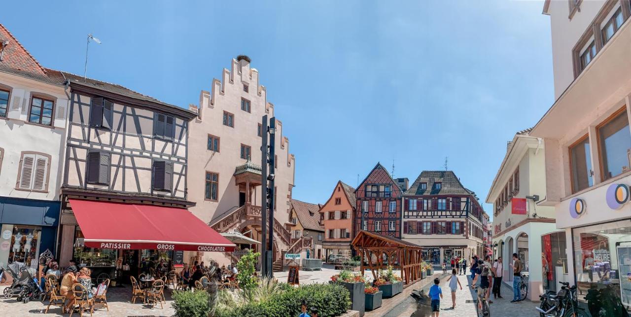 Le Nid Cosy - En Plein Coeur De Selestat Apartment Bagian luar foto