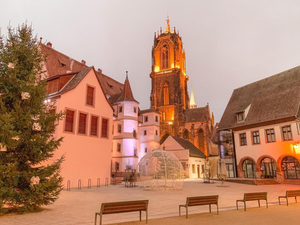 Le Nid Cosy - En Plein Coeur De Selestat Apartment Bagian luar foto