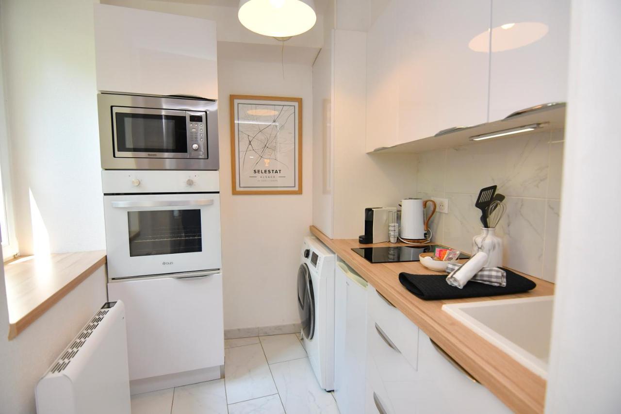 Le Nid Cosy - En Plein Coeur De Selestat Apartment Bagian luar foto